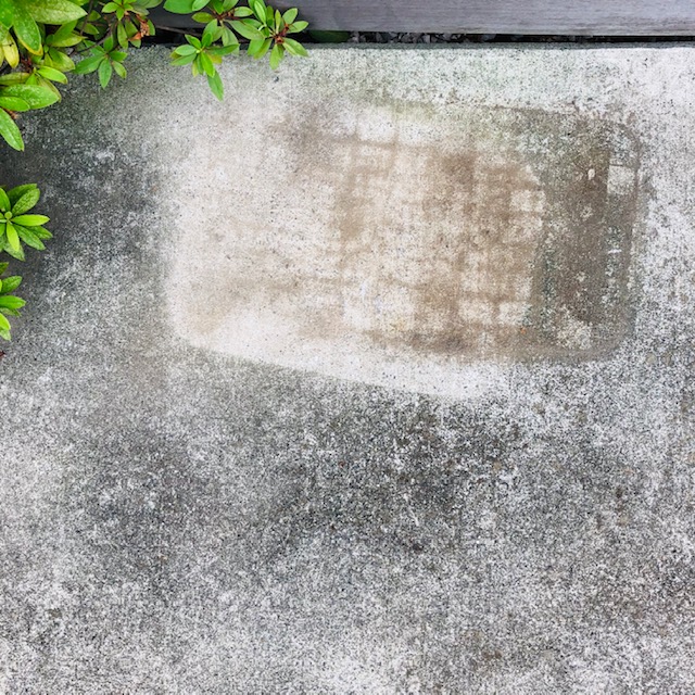 f:id:sumiko325turedure:20190904134156j:plain