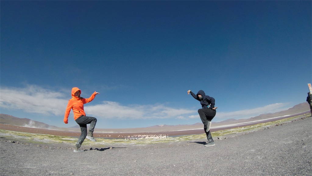 ラグーナ・コロラダの前でフラミンゴ！！（Laguna Colorada）Bolivia