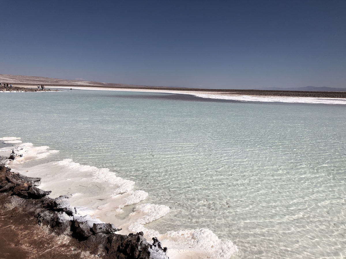 ピースボートで世界一周。写真はチリのアタカマ砂漠の体の浮くラグーンです。