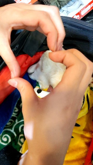 f:id:sumimame:20220113123707j:image