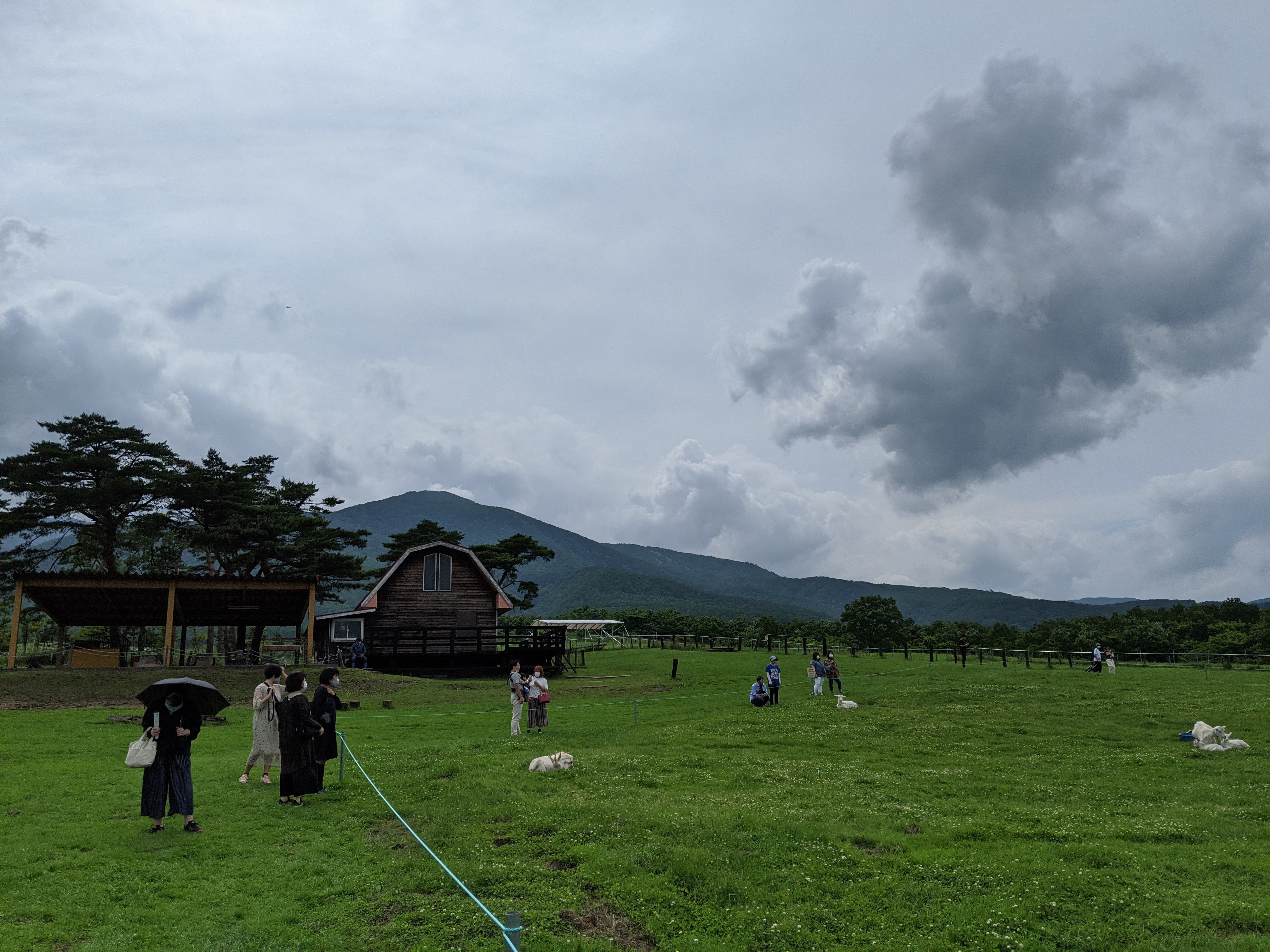 f:id:sumino01:20200629223151j:image