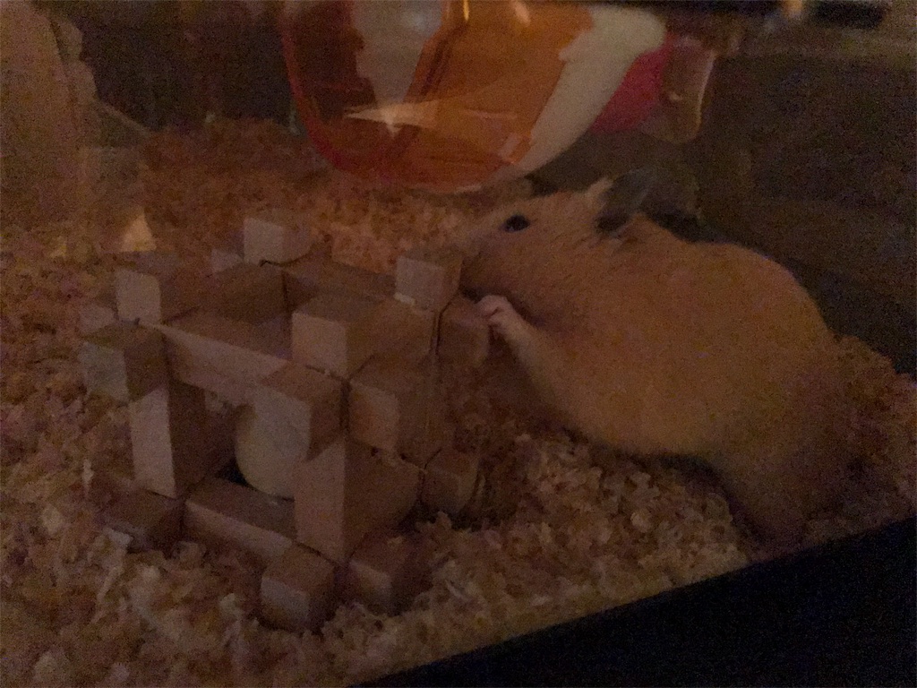 f:id:sumino72:20170805175336j:image