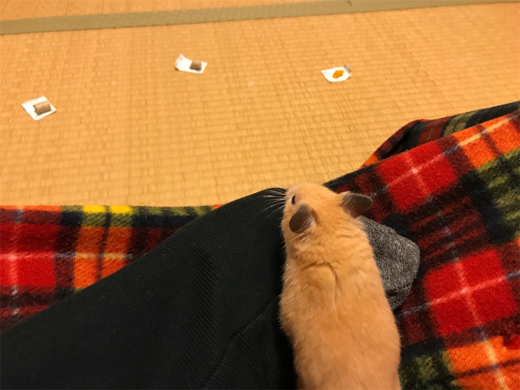 f:id:sumino72:20171105220438j:image