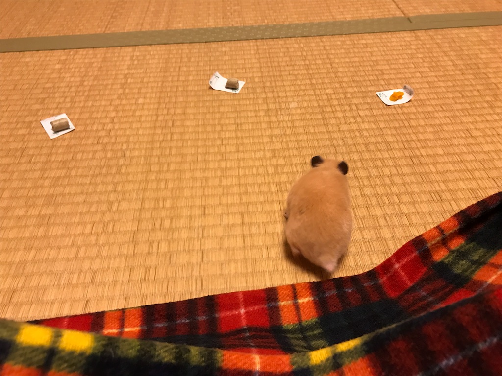 f:id:sumino72:20171105220442j:image