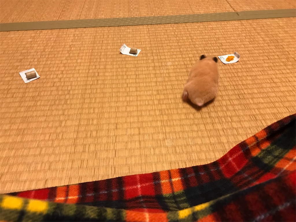 f:id:sumino72:20171105220450j:image