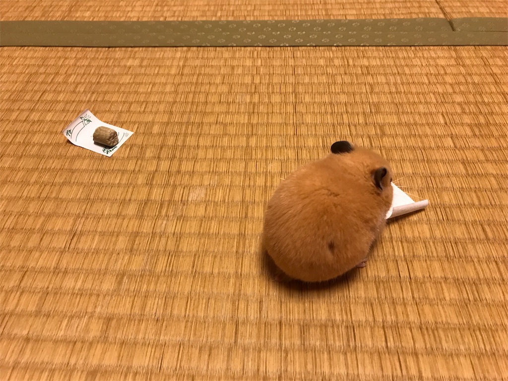 f:id:sumino72:20171105220751j:image