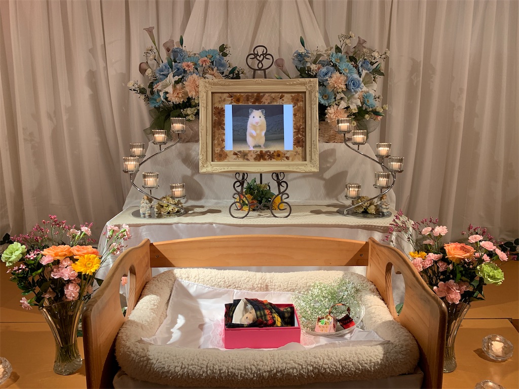 f:id:sumino72:20190609223629j:image