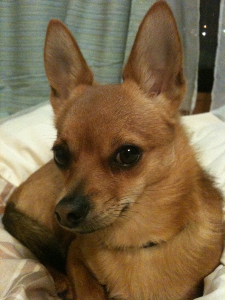 f:id:suminofv:20180708164756j:plain f:id:suminofv:20180708164756j:plain