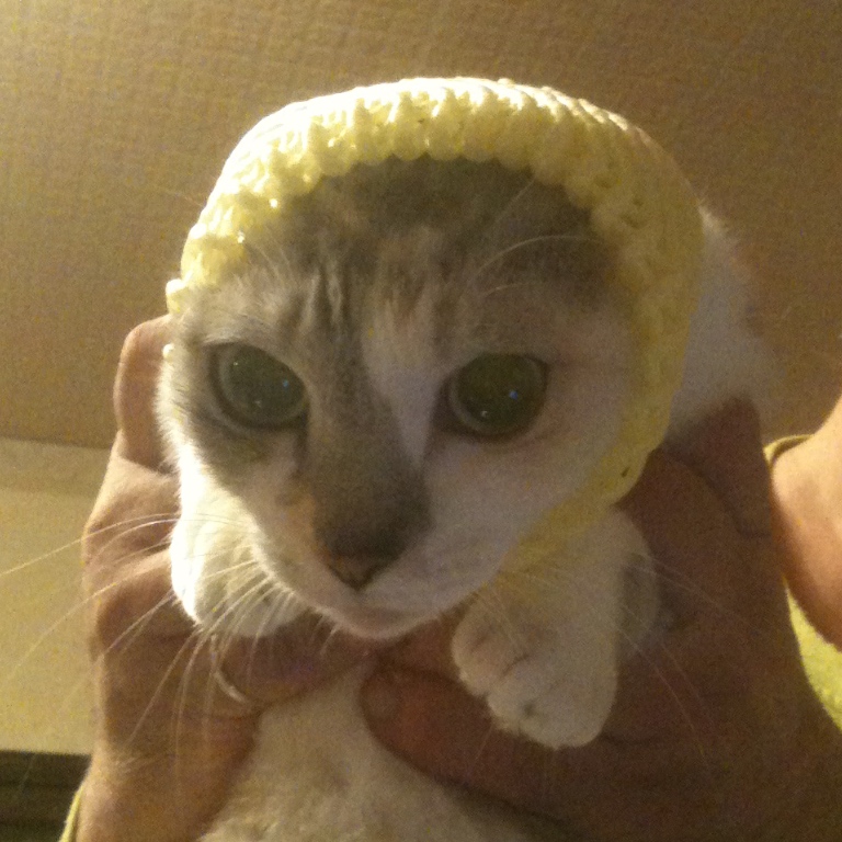 f:id:suminofv:20180715185545j:plain f:id:suminofv:20180715185545j:plain