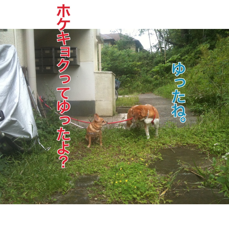 f:id:suminofv:20180726130524j:plain f:id:suminofv:20180726130524j:plain