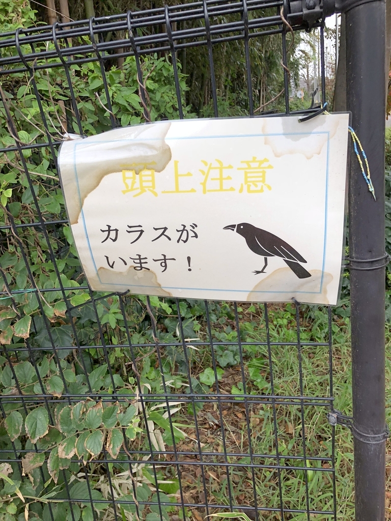 f:id:suminofv:20181014182348j:plain f:id:suminofv:20181014182348j:plain