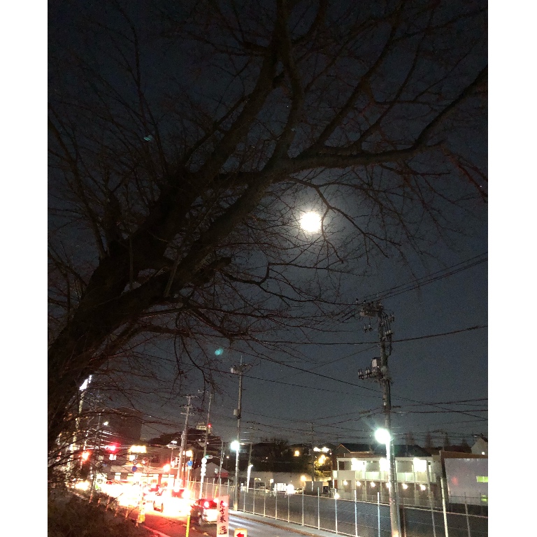f:id:suminofv:20190121214230j:plain f:id:suminofv:20190121214230j:plain