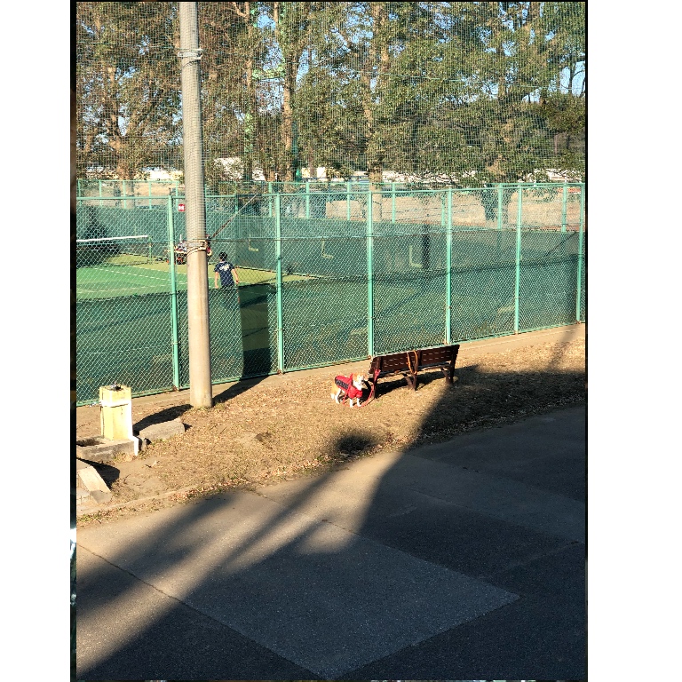 f:id:suminofv:20190121215709j:plain f:id:suminofv:20190121215709j:plain