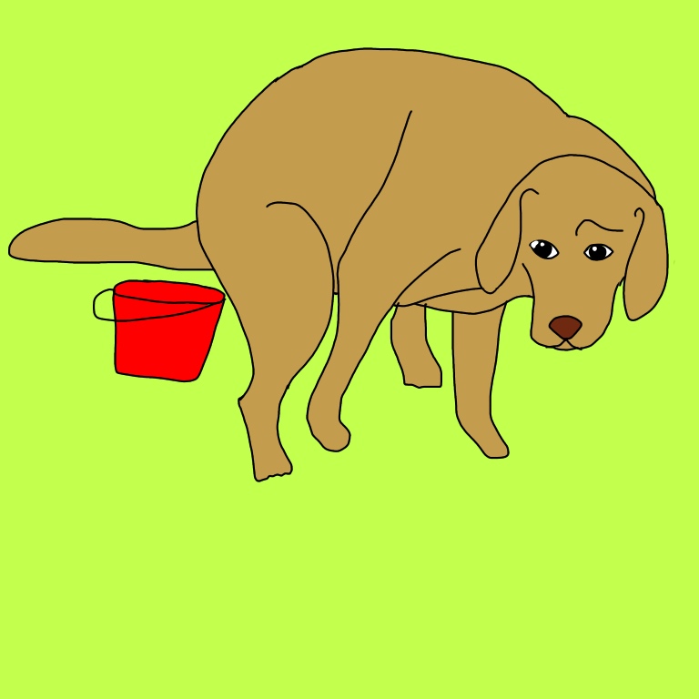 f:id:suminofv:20190121232030j:plain f:id:suminofv:20190121232030j:plain