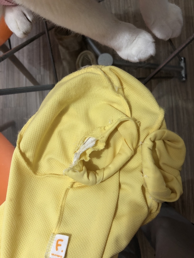 f:id:suminofv:20190210151024j:plain