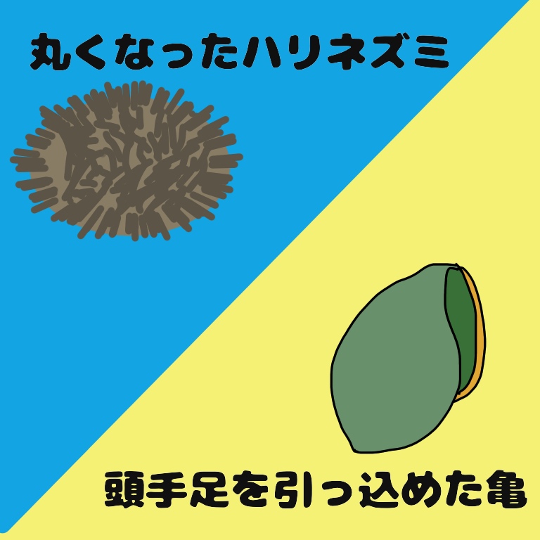 f:id:suminofv:20190216131451j:plain