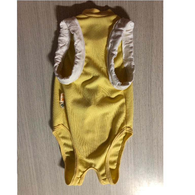 f:id:suminofv:20190217111110j:plain