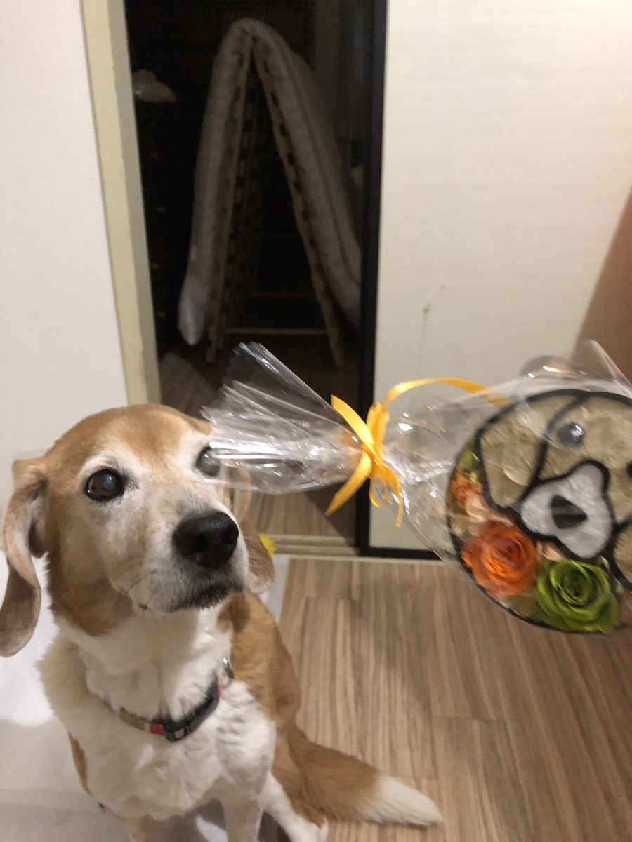 f:id:suminofv:20190329174953j:plain