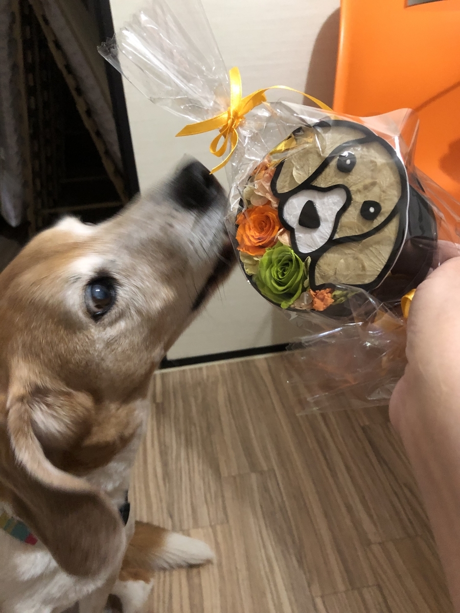 f:id:suminofv:20190329175128j:plain