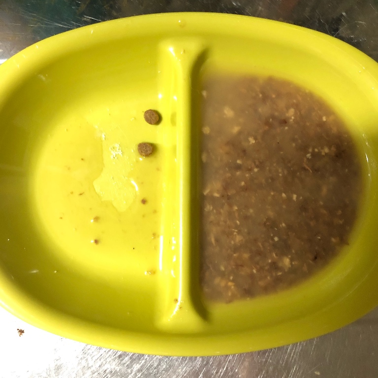 f:id:suminofv:20190504174448j:plain f:id:suminofv:20190504174448j:plain