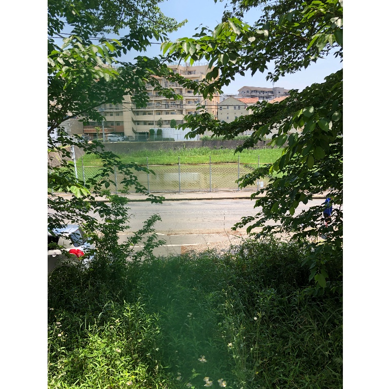 f:id:suminofv:20190511142337j:plain
