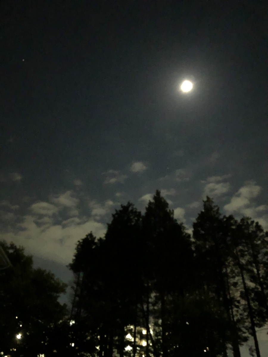 f:id:suminofv:20190515214728j:plain