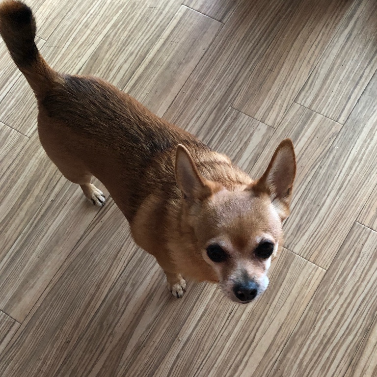 f:id:suminofv:20190525133451j:plain