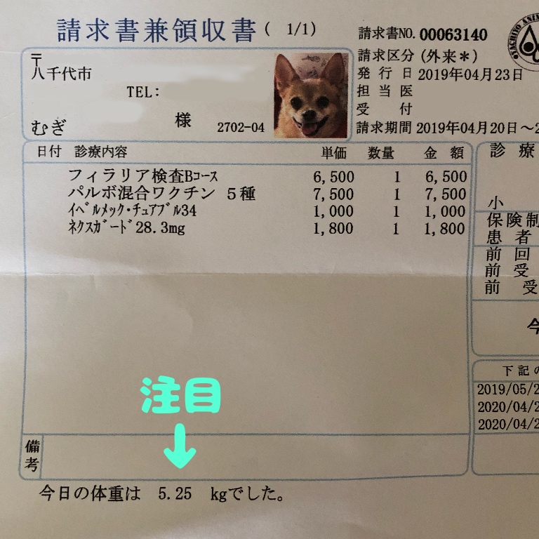 f:id:suminofv:20190601125736j:plain
