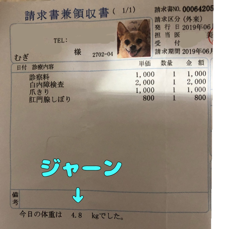 f:id:suminofv:20190608185105j:plain