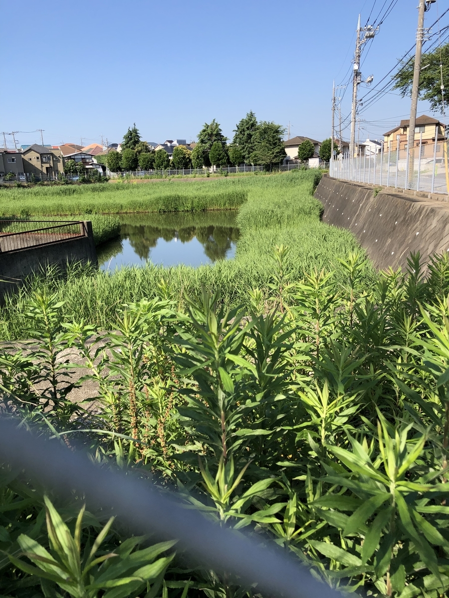 f:id:suminofv:20190613081357j:plain f:id:suminofv:20190613081357j:plain