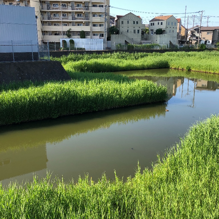 f:id:suminofv:20190613083405j:plain f:id:suminofv:20190613083405j:plain