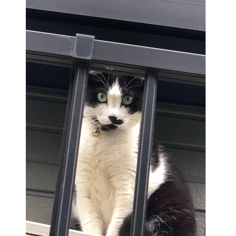 f:id:suminofv:20190616180951j:plain f:id:suminofv:20190616180951j:plain