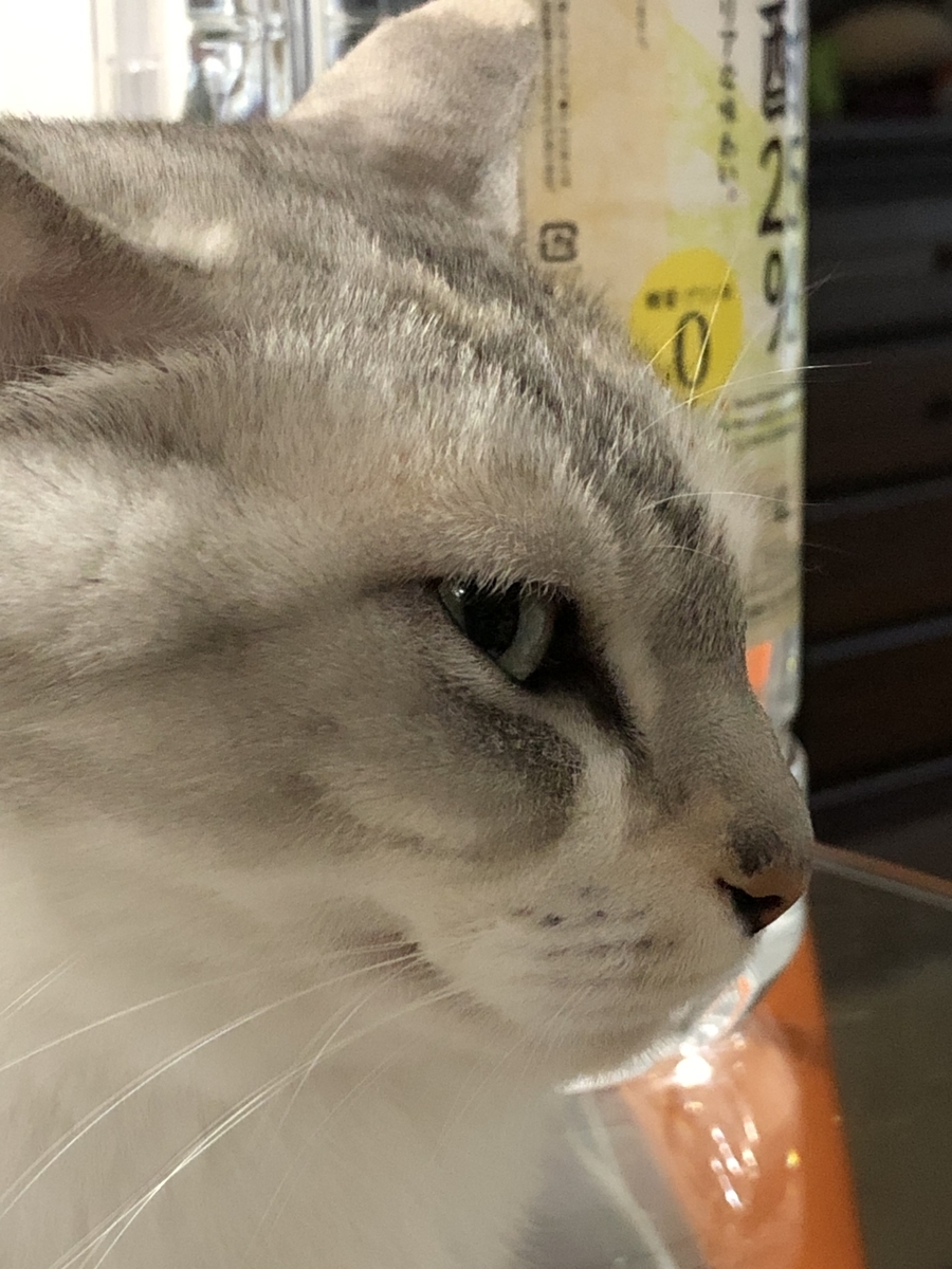 f:id:suminofv:20190630000415j:plain f:id:suminofv:20190630000415j:plain