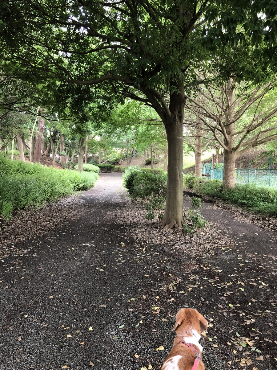 f:id:suminofv:20190721021346j:plain