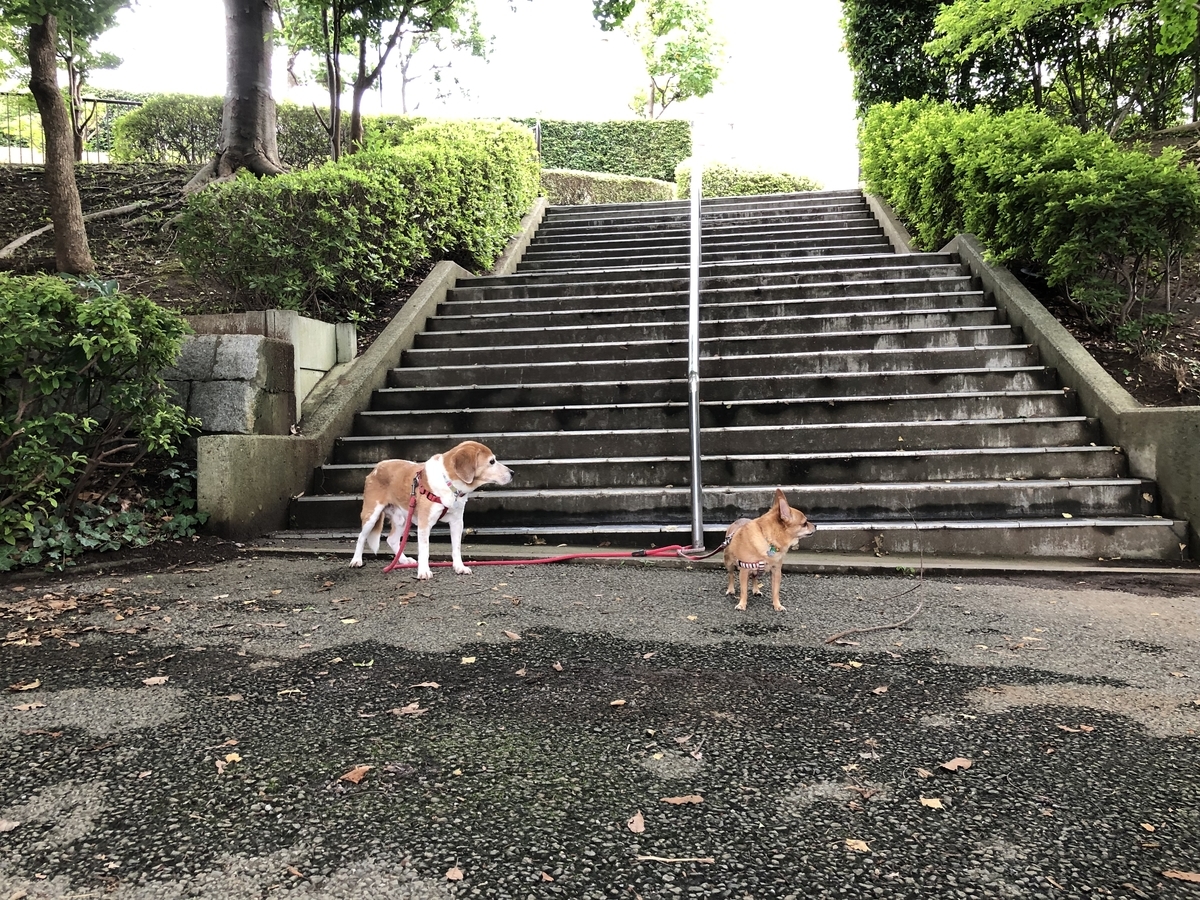 f:id:suminofv:20190721022934j:plain