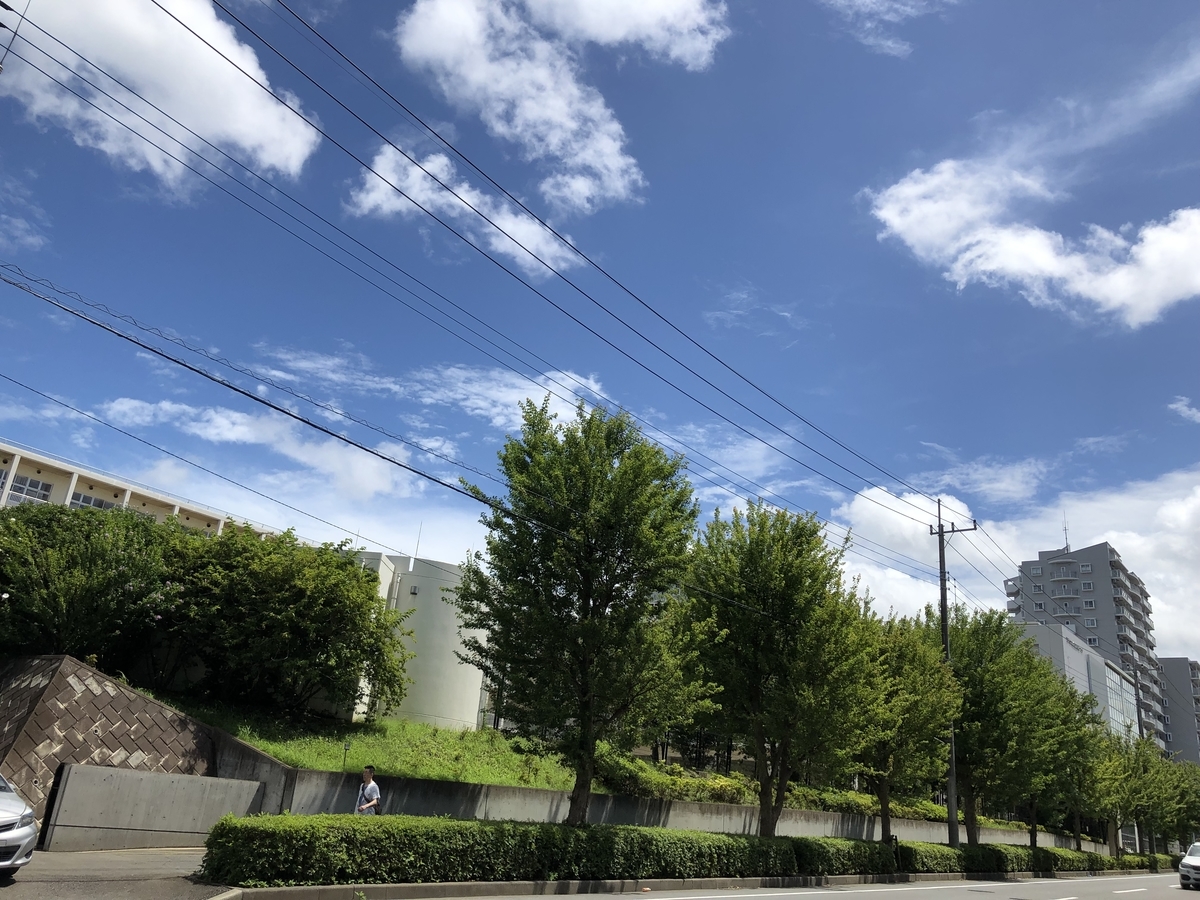 f:id:suminofv:20190728155816j:plain