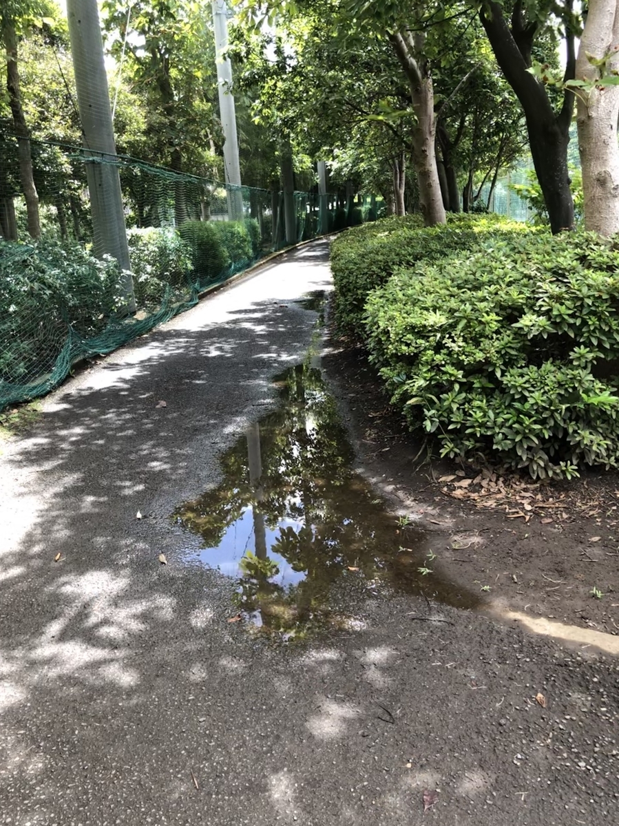 f:id:suminofv:20190728160831j:plain
