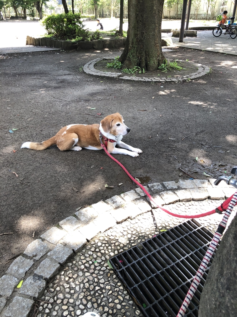 f:id:suminofv:20190728162444j:plain