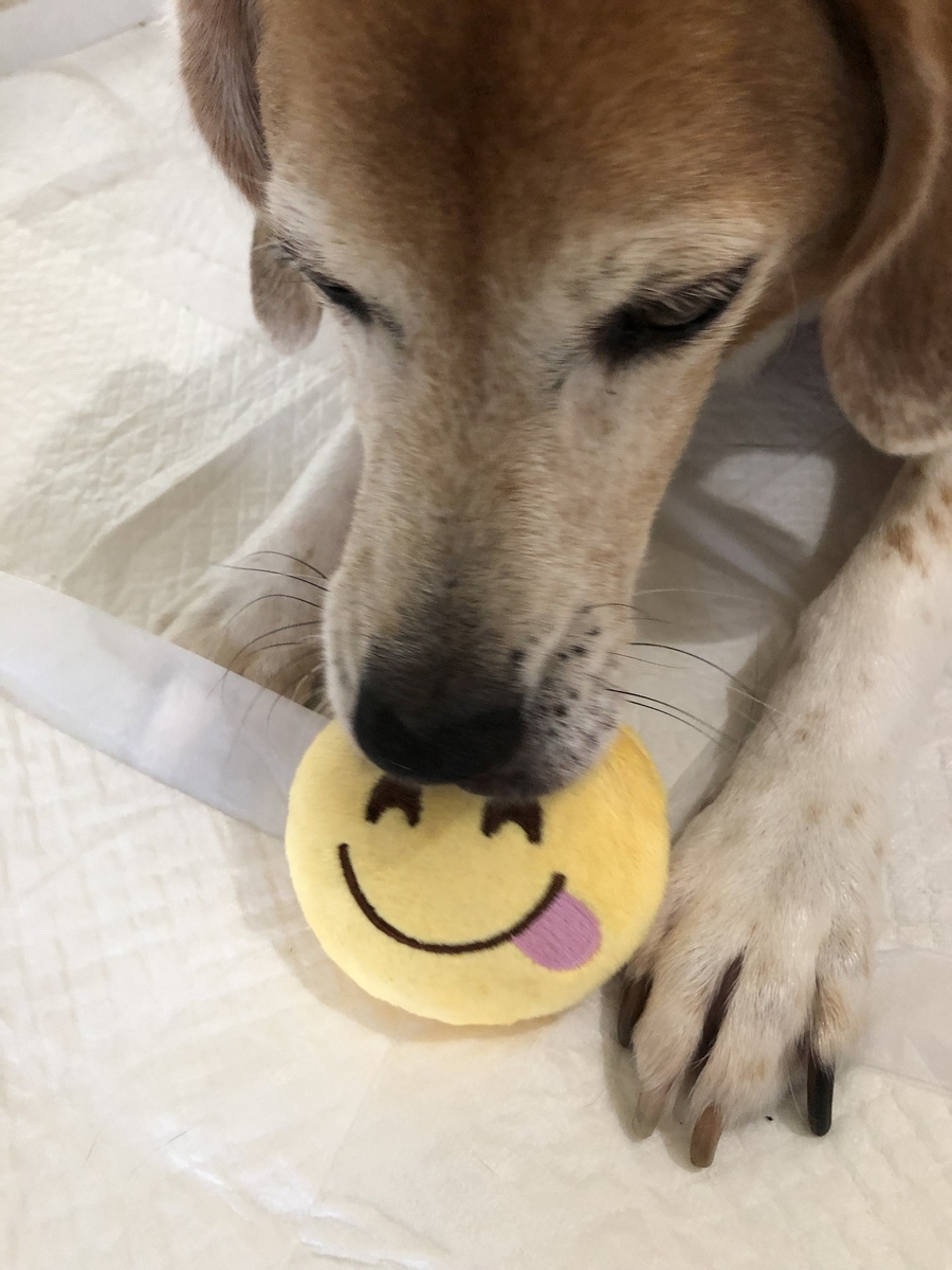 f:id:suminofv:20190728162757j:plain
