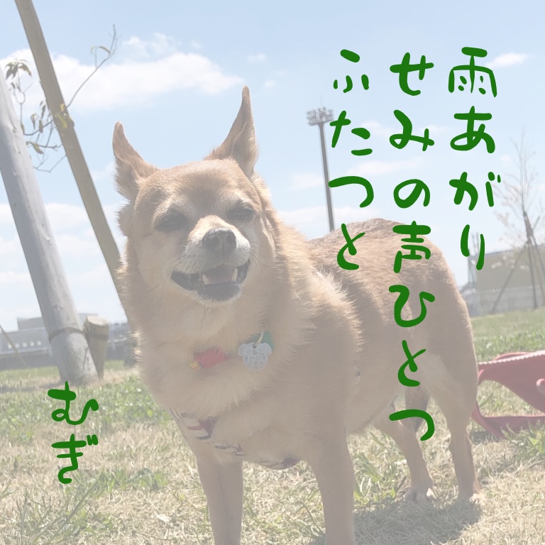 f:id:suminofv:20190728203454j:plain