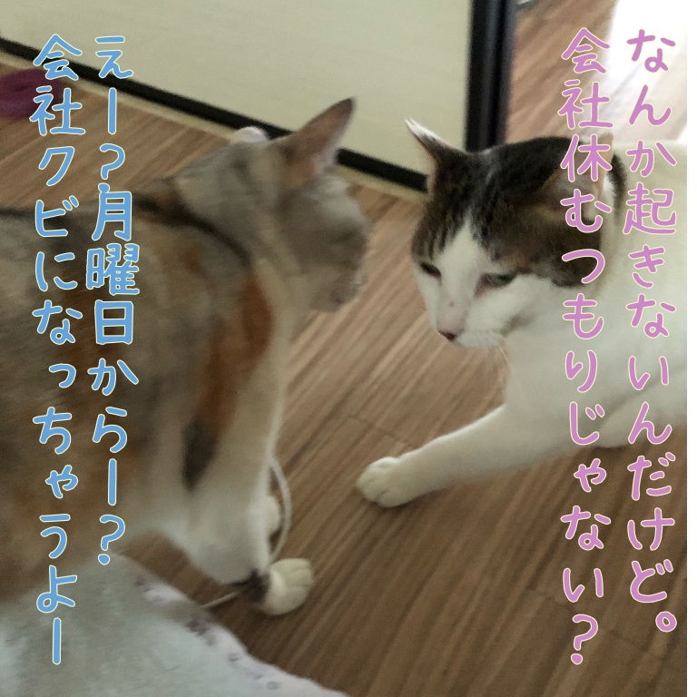 f:id:suminofv:20190728211007j:plain