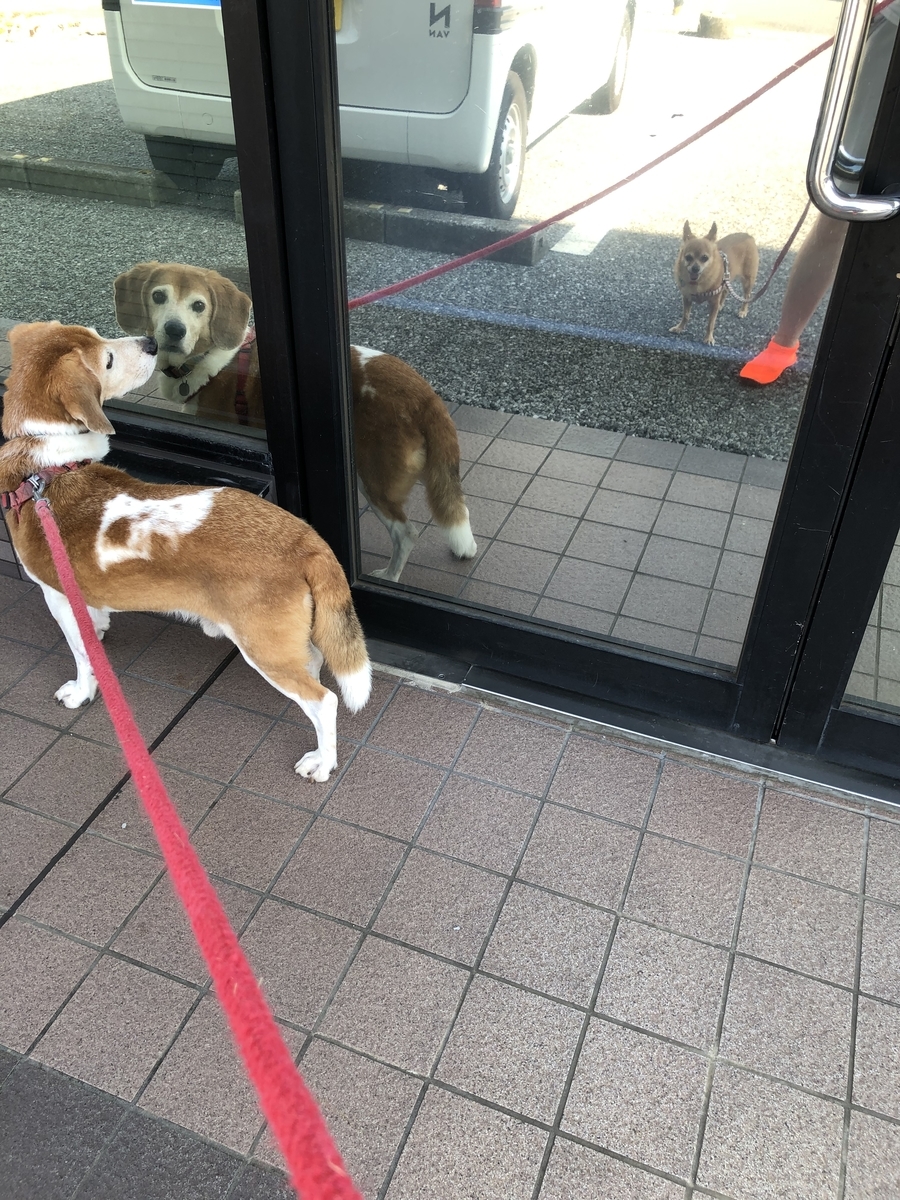 f:id:suminofv:20190804182341j:plain f:id:suminofv:20190804182341j:plain