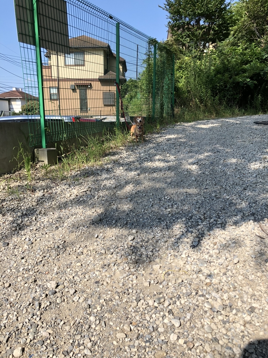 f:id:suminofv:20190804215734j:plain f:id:suminofv:20190804215734j:plain