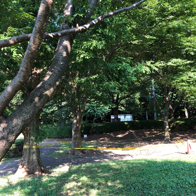 f:id:suminofv:20190804230455j:plain