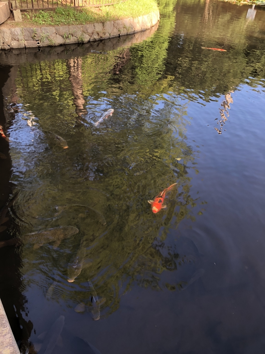 f:id:suminofv:20190811115418j:plain f:id:suminofv:20190811115418j:plain