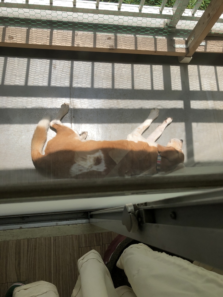 f:id:suminofv:20190811125543j:plain f:id:suminofv:20190811125543j:plain