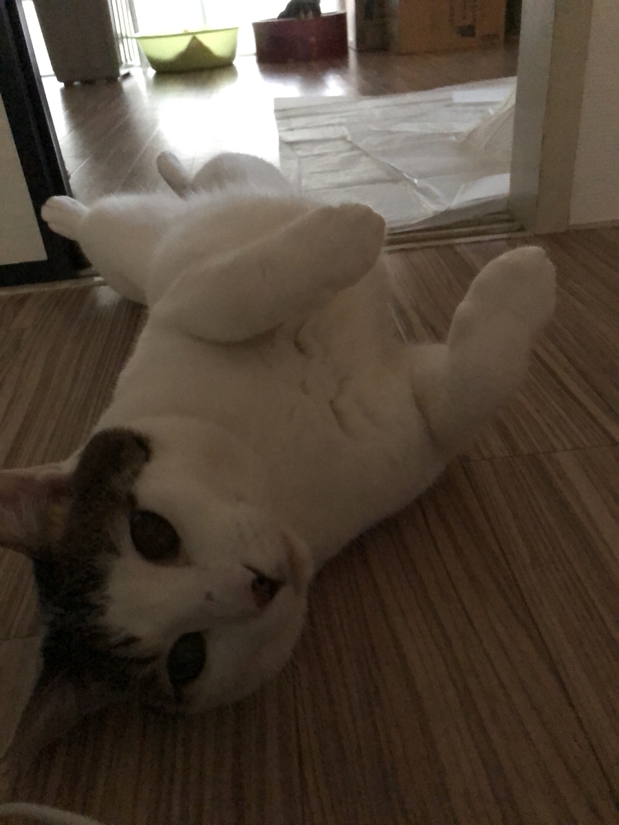 f:id:suminofv:20190811131503j:plain f:id:suminofv:20190811131503j:plain