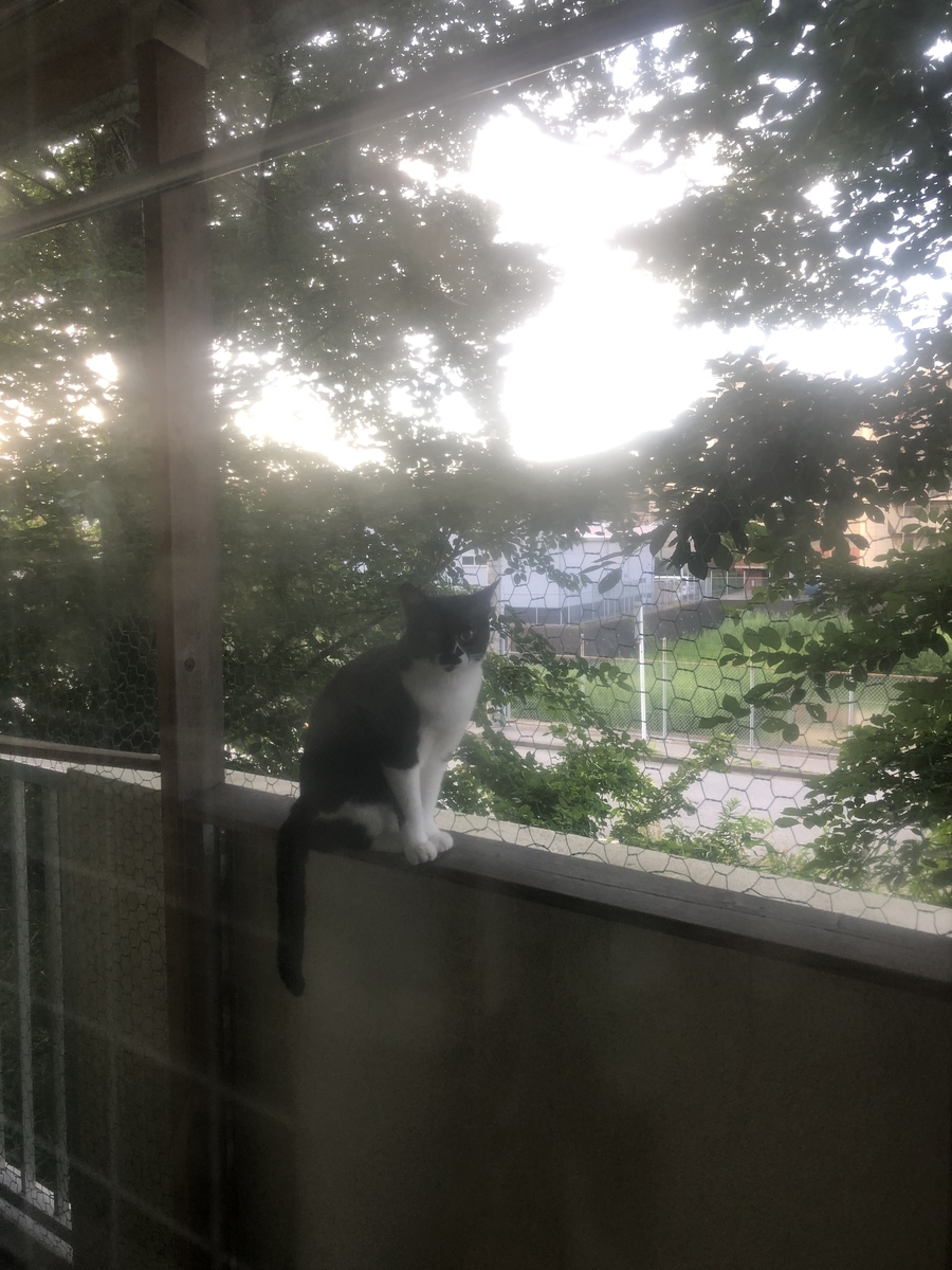 f:id:suminofv:20190811145206j:plain f:id:suminofv:20190811145206j:plain