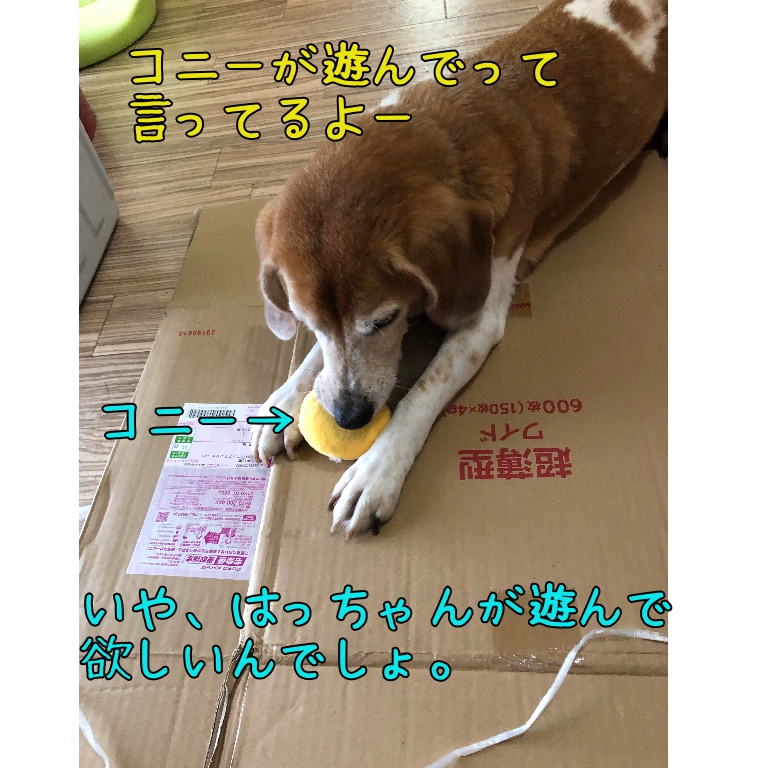 f:id:suminofv:20190813021917j:plain f:id:suminofv:20190813021917j:plain