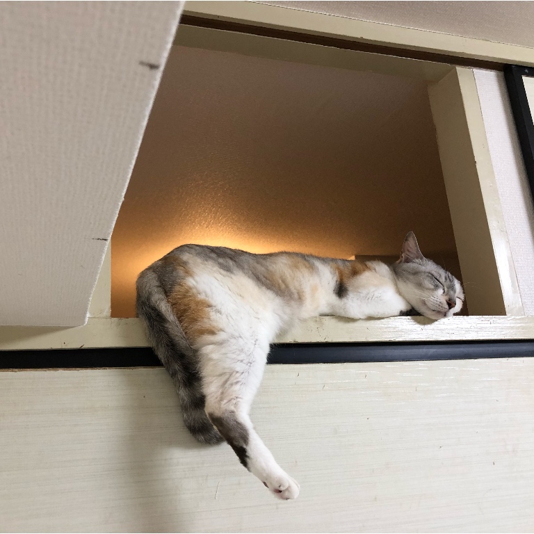 f:id:suminofv:20190830110836j:plain